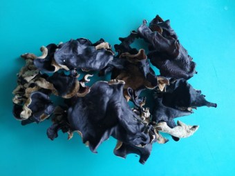 Древесный  гриб